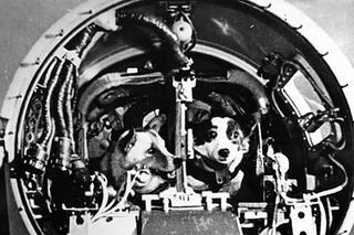 El incómodo viaje de las primeras sobrevivientes del espacio