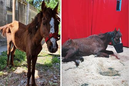 Tras la muerte de su bebé, Mar estaba tan débil que no podía incorporarse por sus propios medios.