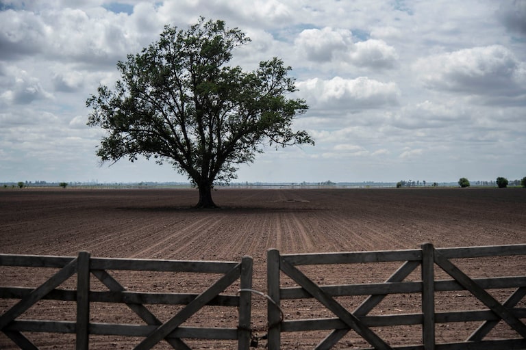 Lluvias: cambia el panorama para la siembra en Santa Fe