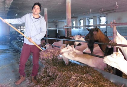 Tras salir del reality, Fernández se instaló durante varios meses en Suiza, donde trabajó en una granja