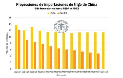 Tras ser el principal comprador mundial de los principales cereales en el ciclo 2023/24, en lo que refiere a maíz, trigo, cebada y sorgo, en la actual campaña, el país asiático importará cerca de la mitad en volumen y las proyecciones muestran más reducciones