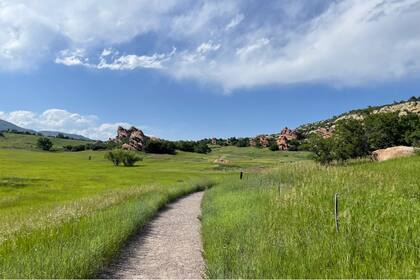 Tras la búsqueda de una nueva vida.