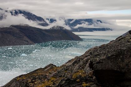 Tras varias expediciones a regiones de Groenlandia, los investigadores lograron recoger muestras fósiles que revelan importantes datos de los ecosistemas del pasado