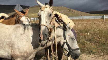 Travesía a caballo