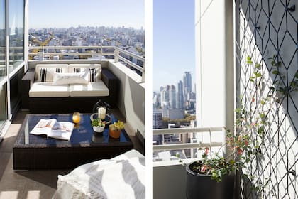 Treillage de hierro negro para que, desde la maceta, trepe una enredadera (todo de Herbario).