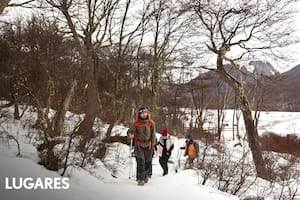 Experiencias originales para disfrutar los meses más fríos en el fin del mundo