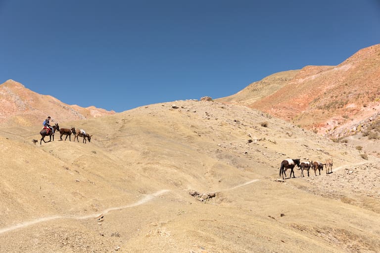 El carguero acompaña con una mula de apoyo y burros que trasladan el equipaje. Ofrendas en una apacheta del camino. (Fotos: Belén Grosso)