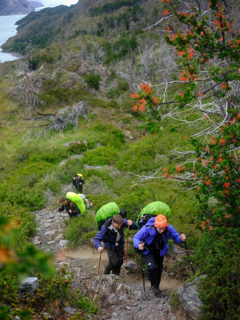 Trekking mirador Grey. Uno de los tantos cursos de agua que cruzan con fuerza hacia el lago Grey. Fotos: Nicolás Janowski