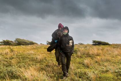 Trekking por el portal norte de la península, en las cercanías de estancia Moat.