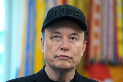 TREO está inspirado en el DOGE que dirigió Elon Musk al comienzo de la administración Trump (AP Foto/Evan Vucci, Archivo)