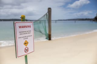 Tres ataques de tiburones dejan dos heridos en playas de Australia