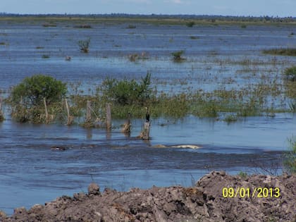 Tres crecientes sucesivas y muy grandes por el desborde del arroyo Villanueva, afluente del río Corriente y que duraron hasta el otoño de 2013, dejaron un potrero entero de 5000 hectáreas prácticamente bajo agua