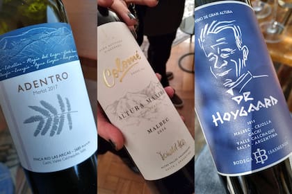 Tres de los vinos hechos con uvas cultivadas en Cachi