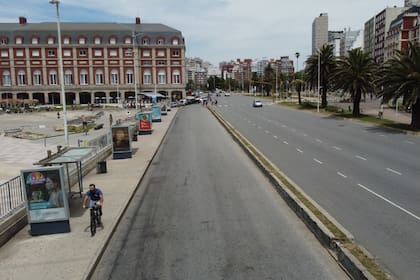 Tres dias de paro de colectivos en la ciudad de Mar del Plata