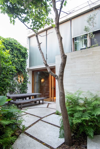 Tres ejemplares de bauhinias estructuran el lugar y generan una nueva capa de sombra