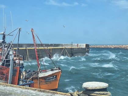 Impactante temporal de viento en Santa Cruz: se hundieron tres barcos pesqueros en el Puerto Caleta Paula - Image 2