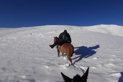 Tres horas a caballo en la nieve para reparar internet en el centro de Chubut