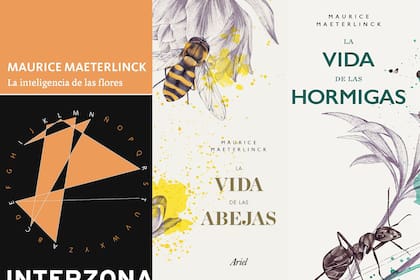 Tres libros de Maeterlinck que siguen vigentes: "La inteligencia de las flores", "La vida de las abejas" y "La vida de las hormigas"