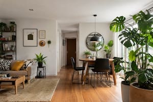 Tres plantas ideales para departamento y el truco para que no mueran