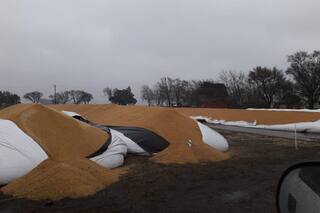 Silobolsas. Con otro ataque en Buenos Aires ya rompieron 99 en todo el país