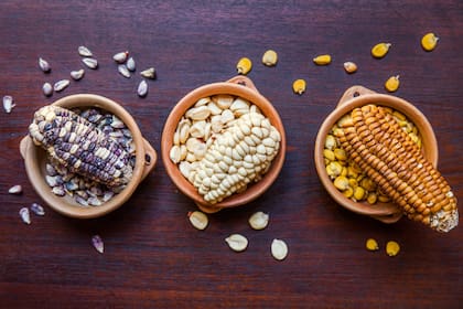 Tres tipos de maíz, algunos de los que estudia la antropóloga Mercedes Costa, especialista en la cocina precolombina.