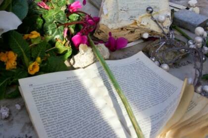 Tributos al escritor argentino