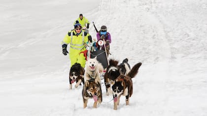 TRINEOS. Para disfrutar de la aurora boreal, de noviembre a febrero, hay una propuesta de dos días con trineos tirados por perros