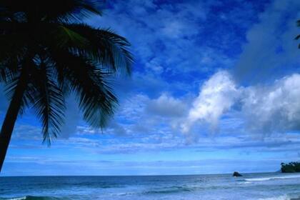 Trinidad fue la primera isla poblada del Caribe, según la investigación de los autores de este artículo