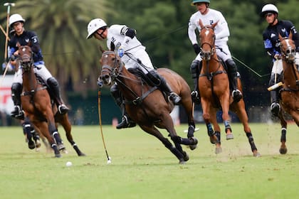 Triple corona de polo, abierto de Palermo. la ellerstina yellowrose vs la ensenada