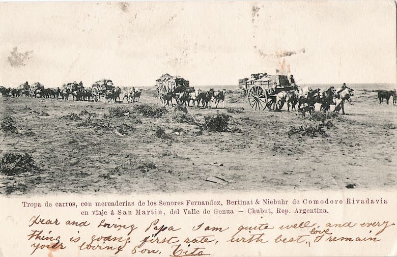 Trevelin: el legado gales que florece en la Patagonia cordillerana
