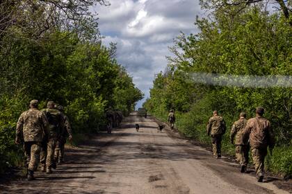 Tropas ucranianas en el Donbass