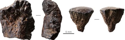 Trozos de piedras fósiles halladas en la "hoguera de Barnham"