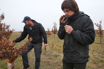 Tomas de Hagen y Faustino Terradas con una trufa recién encontrada