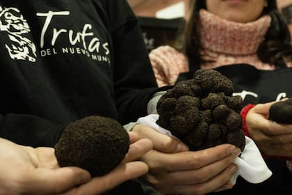 Trufas