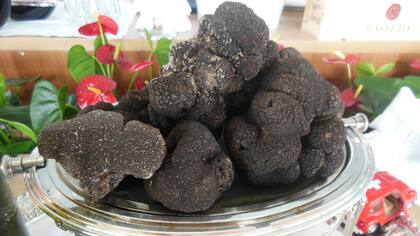 Trufas de todo tipo y la mejor materia prima no faltan en St.Moritz