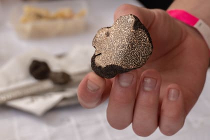 Trufas. Liliana Olleta en Hotel Peumayen