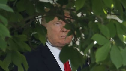Trump, ayer, antes de hacer el anuncio en el jardín de la Casa Blanca