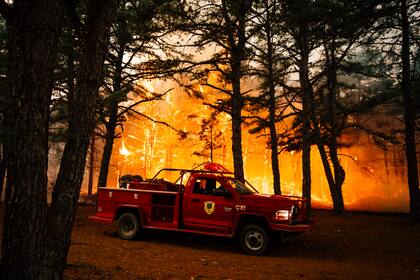 Trump también cuestionó a Newsom por la gestión de los incendios en Los Ángeles y su resistencia a liberar más agua para el sur de California