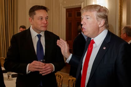 Trump y Musk tienen una relación de muchos años