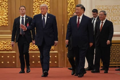 Trump y Xi Jinping llegan a una cena de Estado en el Gran Palacio del Pueblo, el 14 de mayo de 2026, en Pekín