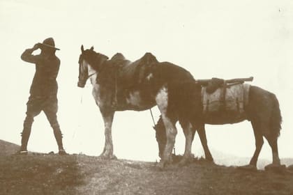 Tschiffely y los caballos Mancha y Gato