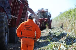 Biocombustibles: cañeros amenazan con no entregar su producción