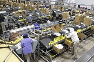 Un plan para lograr certezas y un desarrollo sostenible