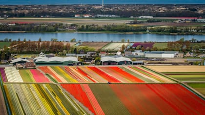 Vista del Mar del Norte y los campos de tulipanes de Keukenhof, en Lisse, a unos 20 kilómetros de Amsterdam,