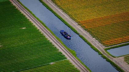 Turistas paseando en bote por los campos de tulipanes