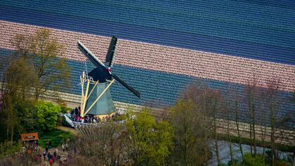 Personas mirando los campos desde un molino de viento