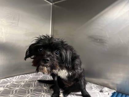 Tulum pasó un mes internada para recuperarse del accidente.