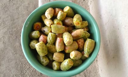 Tunas de la reserva Amílcar Romeo.