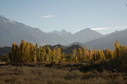 Tupungato, en el Valle de Uco. Denise Giovaneli