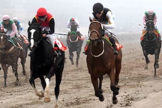 Turf: La niebla dejó en suspenso a las Carreras de las Estrellas, en Palermo